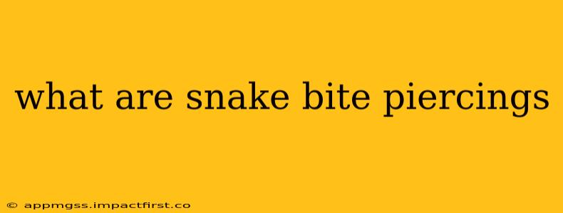 what are snake bite piercings