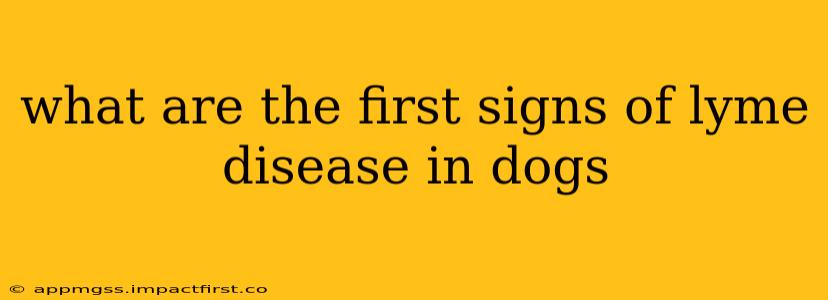 what are the first signs of lyme disease in dogs