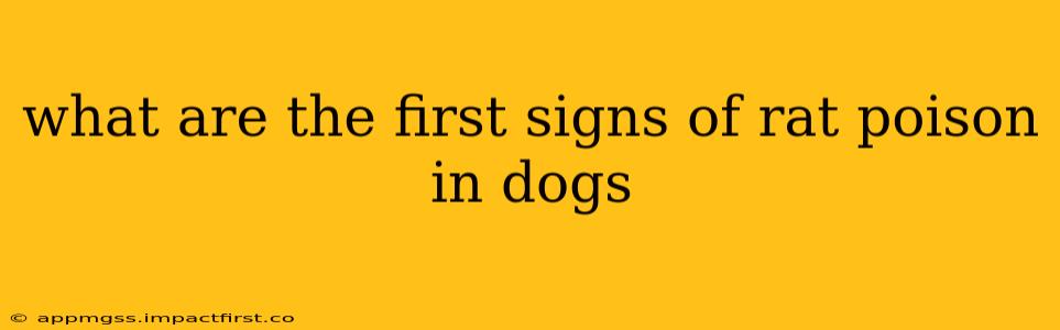 what are the first signs of rat poison in dogs