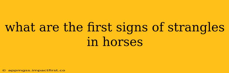 what are the first signs of strangles in horses