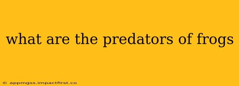 what are the predators of frogs