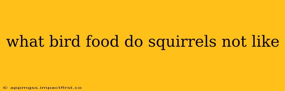 what bird food do squirrels not like