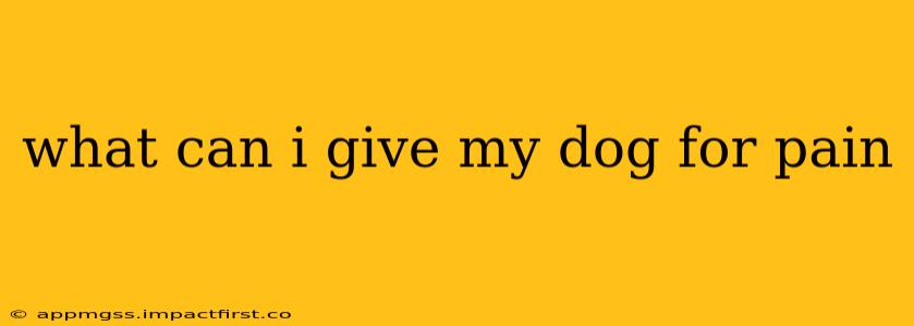 what can i give my dog for pain