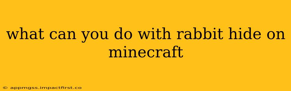 what can you do with rabbit hide on minecraft