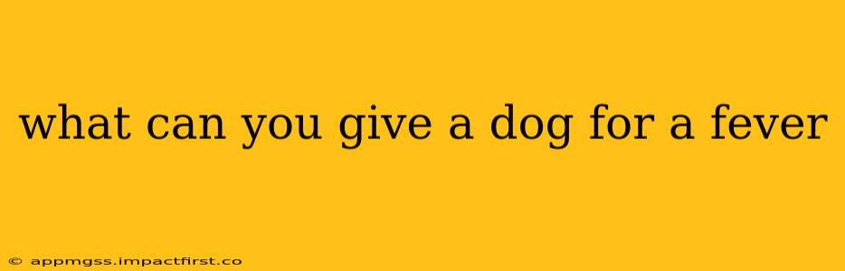what can you give a dog for a fever