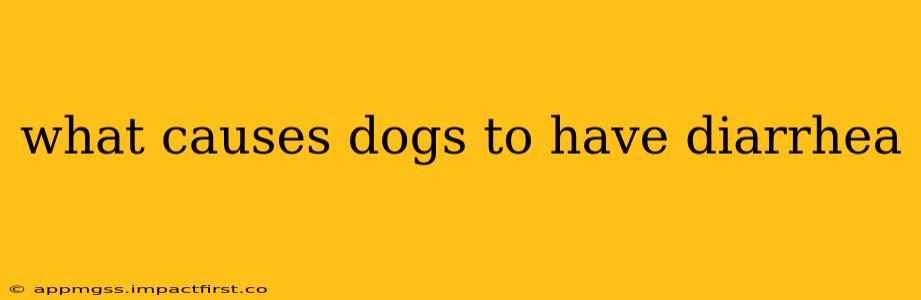 what causes dogs to have diarrhea