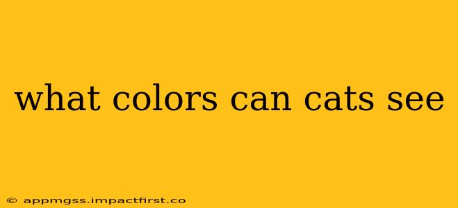 what colors can cats see