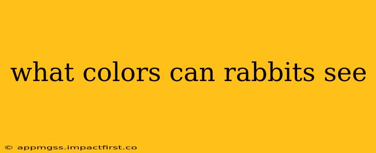 what colors can rabbits see