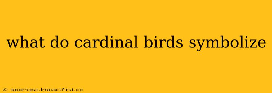 what do cardinal birds symbolize