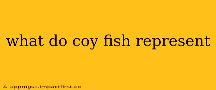 what do coy fish represent