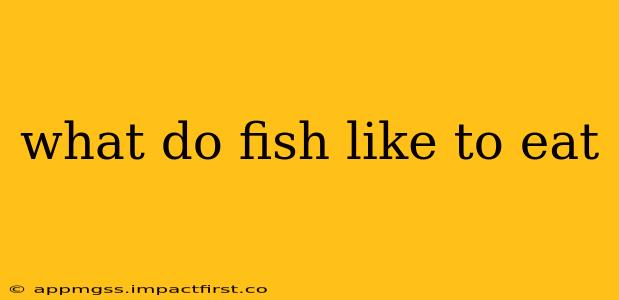 what do fish like to eat