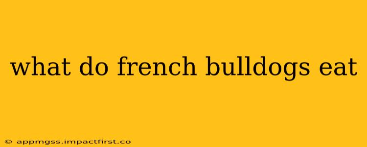what do french bulldogs eat