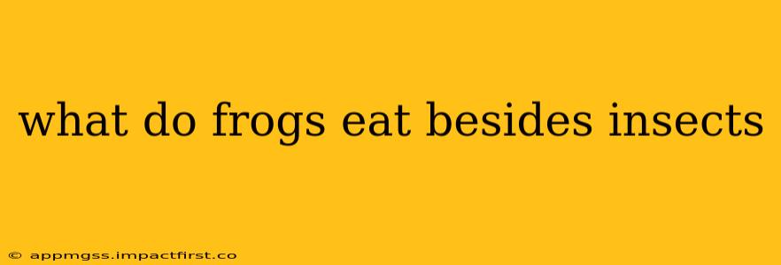 what do frogs eat besides insects