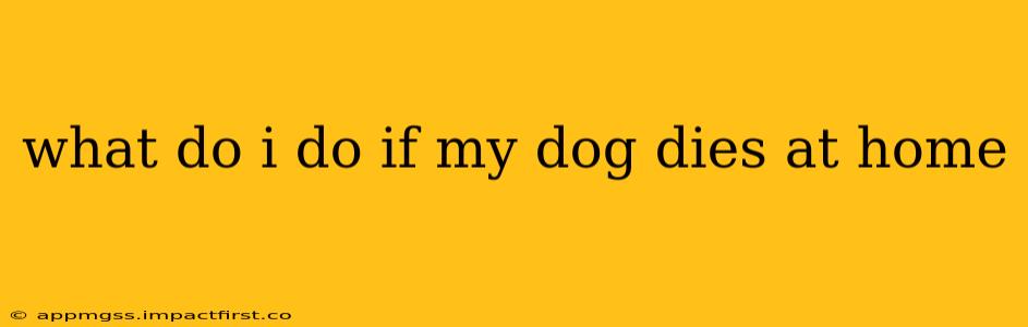 what do i do if my dog dies at home