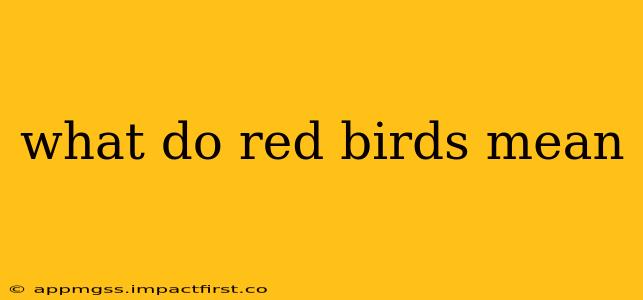 what do red birds mean
