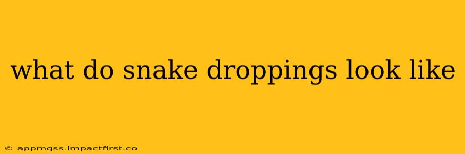 what do snake droppings look like