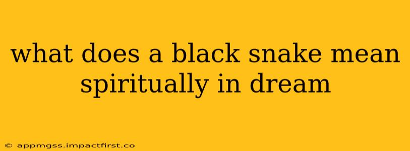 what does a black snake mean spiritually in dream