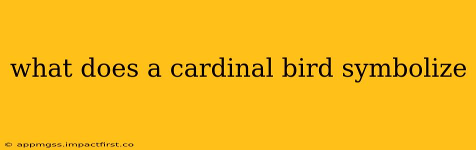 what does a cardinal bird symbolize