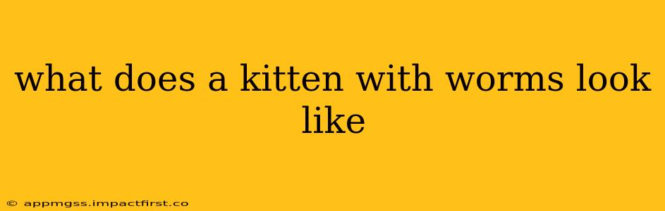 what does a kitten with worms look like