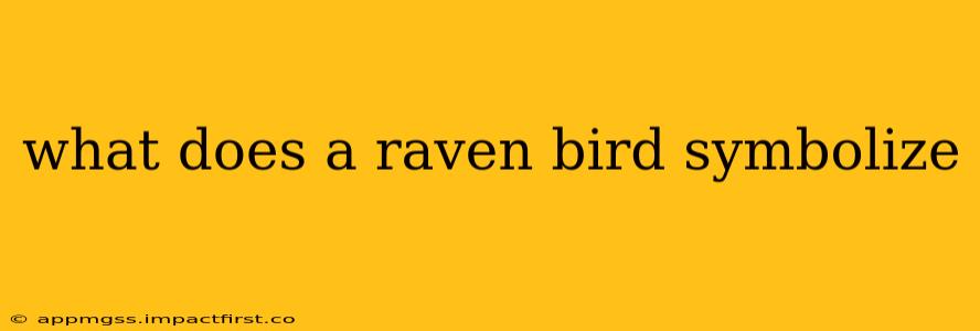 what does a raven bird symbolize