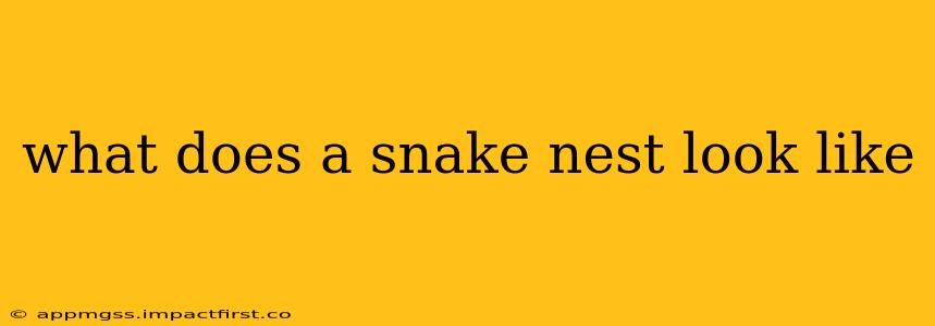 what does a snake nest look like