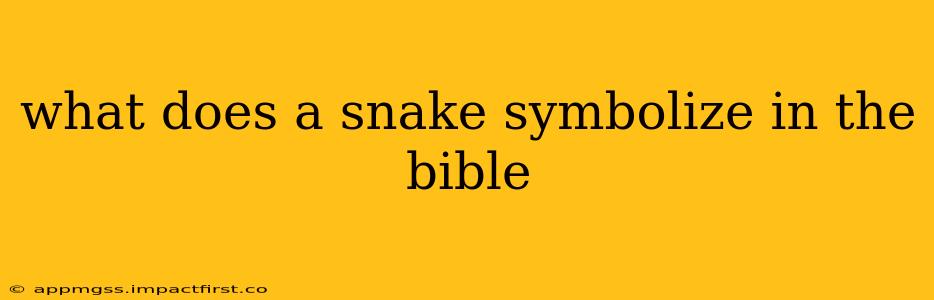 what does a snake symbolize in the bible