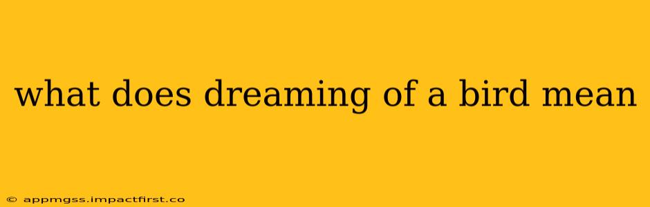 what does dreaming of a bird mean