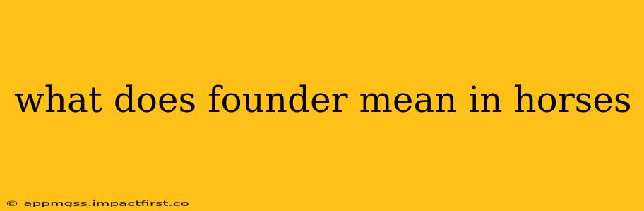 what does founder mean in horses