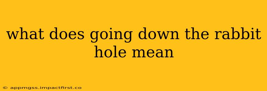 what does going down the rabbit hole mean