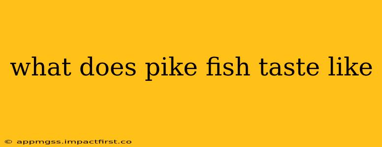 what does pike fish taste like