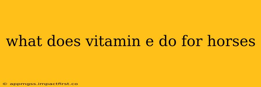 what does vitamin e do for horses
