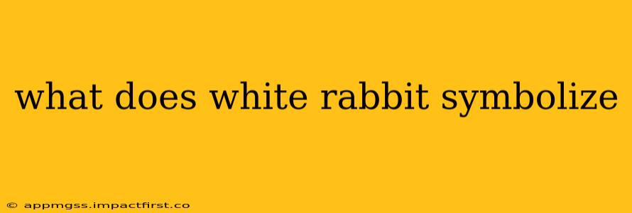 what does white rabbit symbolize
