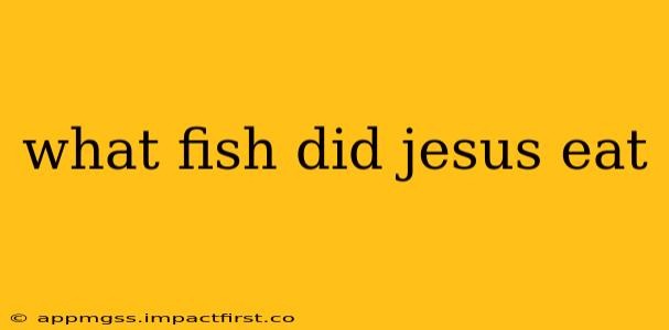 what fish did jesus eat
