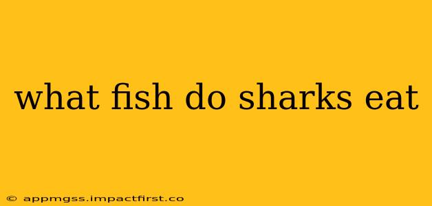 what fish do sharks eat