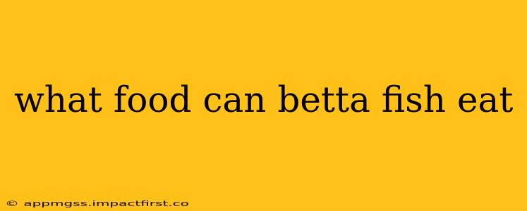 what food can betta fish eat