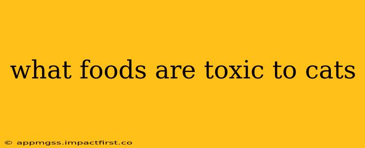 what foods are toxic to cats