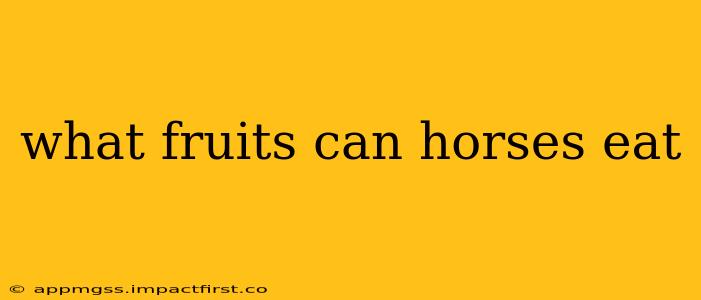 what fruits can horses eat