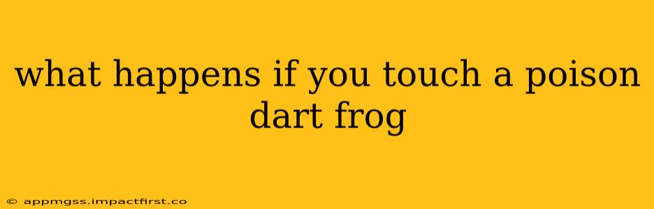 what happens if you touch a poison dart frog