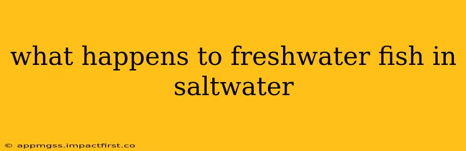 what happens to freshwater fish in saltwater