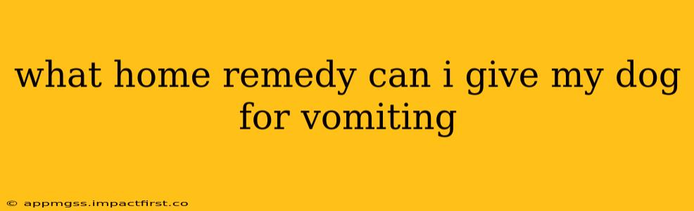 what home remedy can i give my dog for vomiting