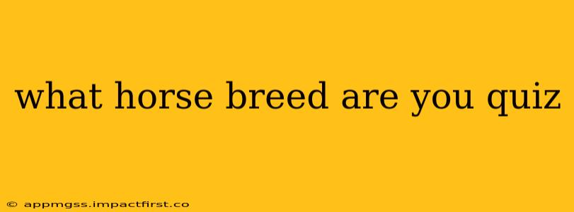 what horse breed are you quiz