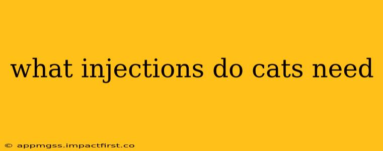 what injections do cats need