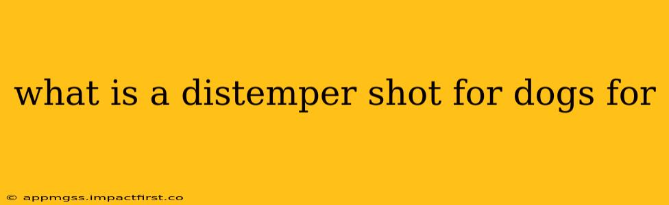 what is a distemper shot for dogs for