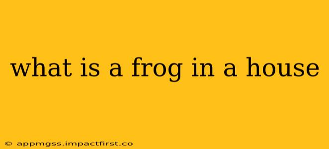 what is a frog in a house