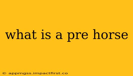 what is a pre horse