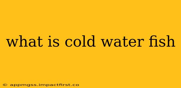 what is cold water fish