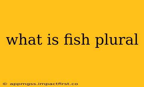 what is fish plural