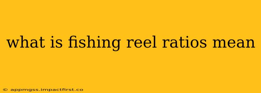 what is fishing reel ratios mean