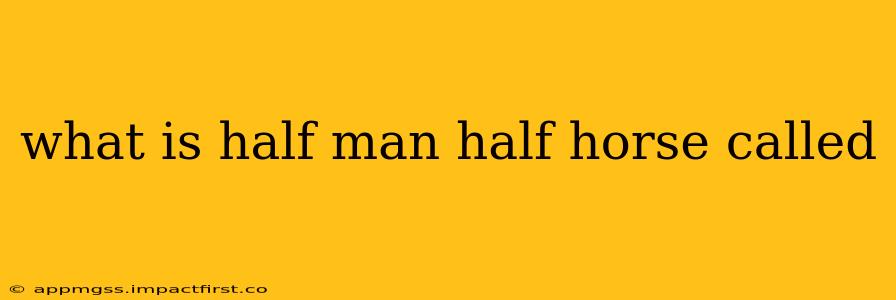 what is half man half horse called