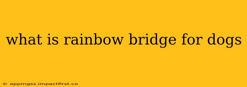 what is rainbow bridge for dogs